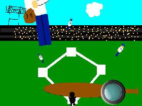 baseball simulator  1 1