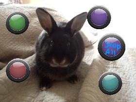 Olive the rabbit: music!©™ 1