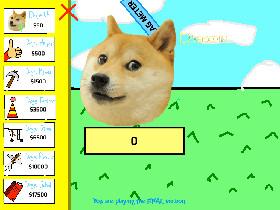 Doge 1