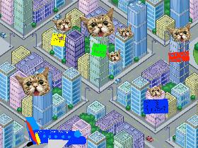  CAT CItY🏢🏦