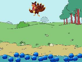 splashy turkey 