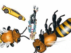 car bee 