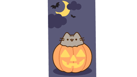 punkin cat is scard