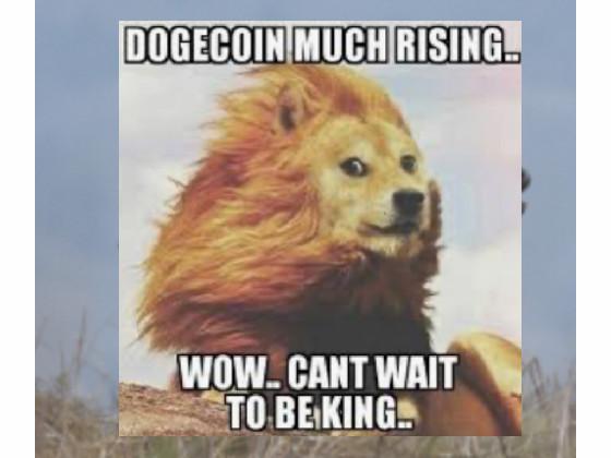 much doge