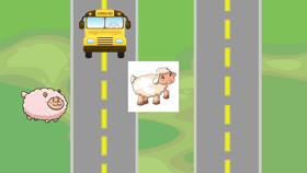 Sheep Crossing