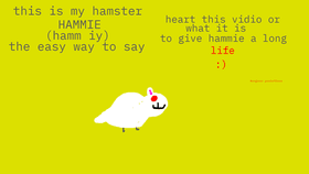 save the hamsters