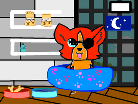 My Pet foxy