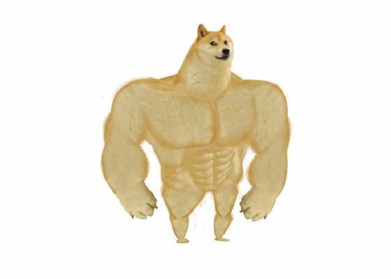 doge meme