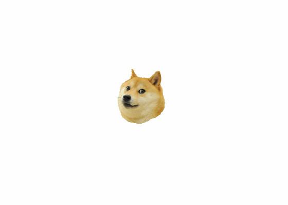 Doge Draw!