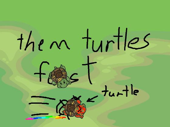 Turtle Trails 1