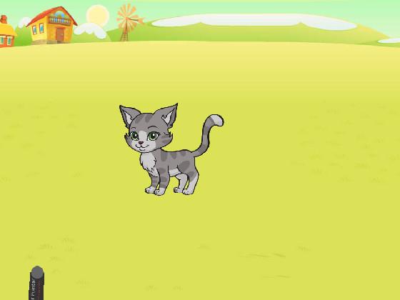 play weth the cat