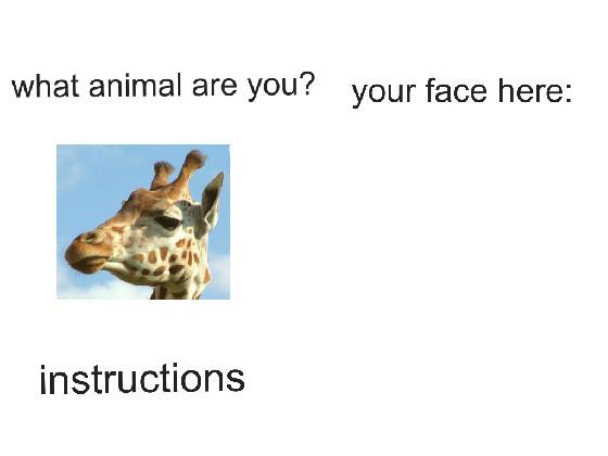 What Animal Are You? 1