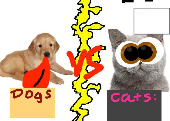 Dogs vs Cats!!🐈🐕 1