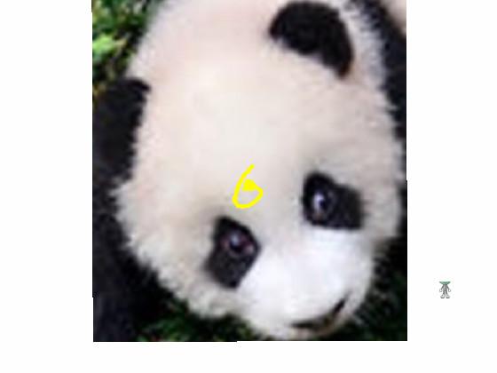 Panda meme #1