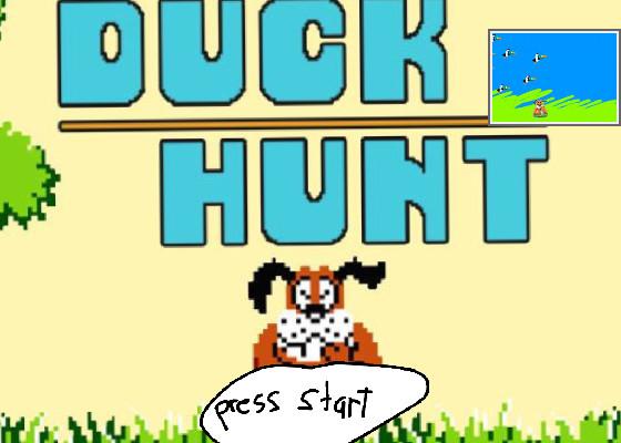 duck hunt