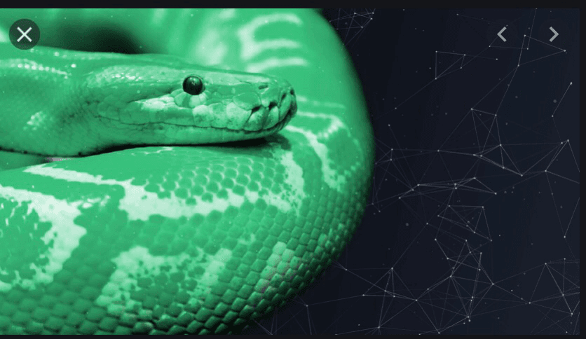 python