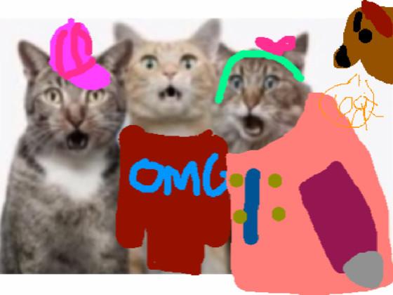 cats o.m.g