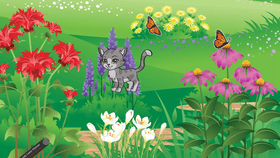 Cat in garden