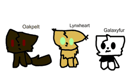 Warrior cat OCS!