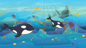 Orcas playing