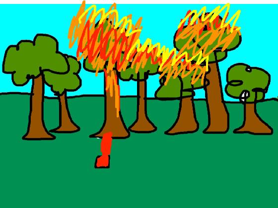 forest fires are bad