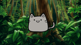 cat in the forest