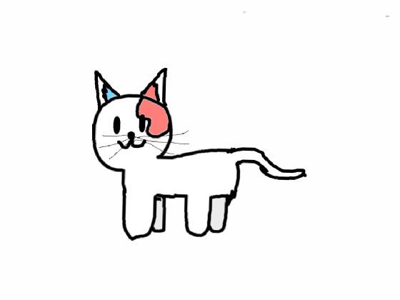 shoto cat