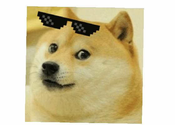 DEAL WITH DOGE