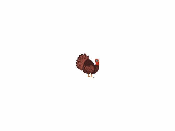 Help The Turkey