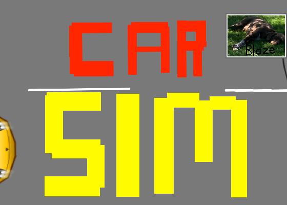 Car Sim RELEASED 1