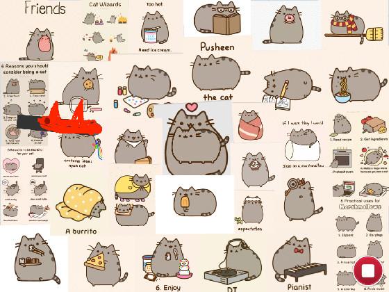 my pet pusheen