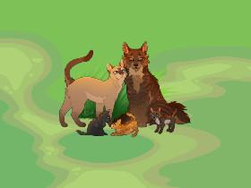 Tigerstar & Sasha