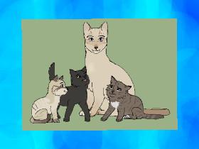 Tigerstar & Sasha's family