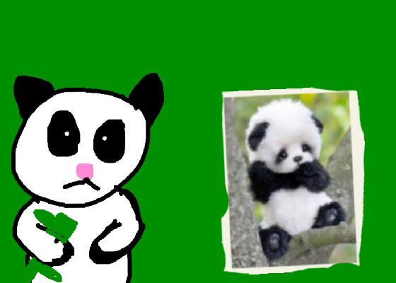 Save pandas!