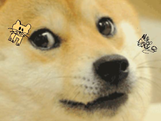 Chat with Mr. Doge 1 1