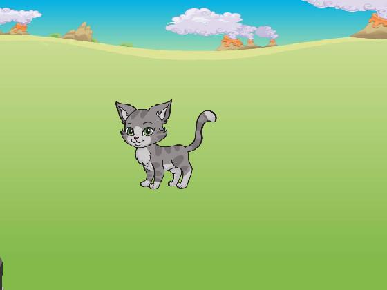 play with a cat game