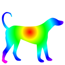 Dogs Rainbow!