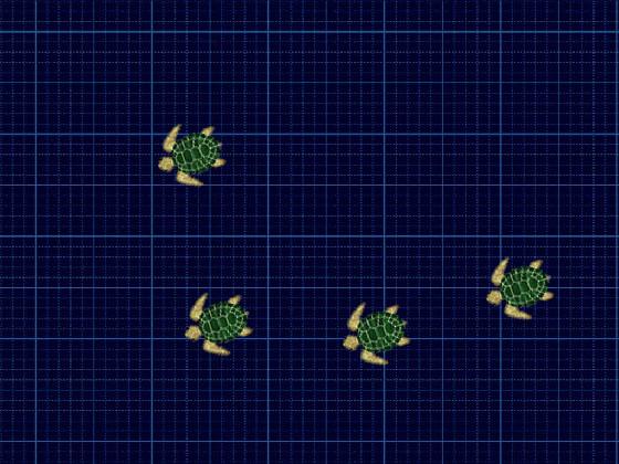 turtles