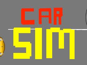 Car Sim RELEASED 2