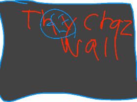 the crazy wall