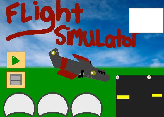 Flight Simulator 1