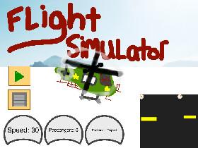 Flight Simulator 2 1