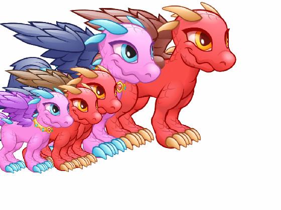 drago family