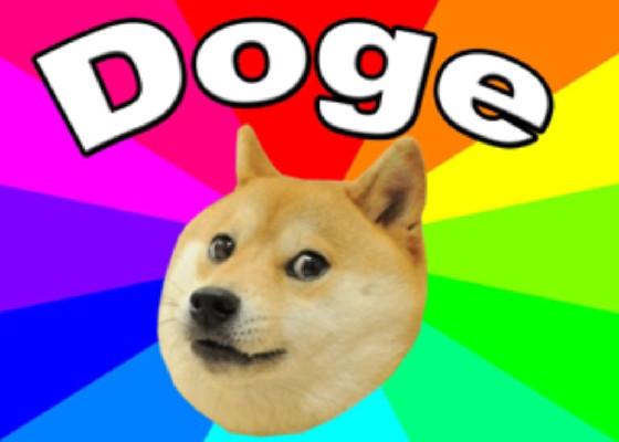 Doge