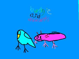 budgies and axolotls