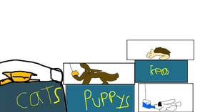 PET STORE