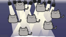 Cat Dance Party