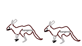 jumpy kangaroos