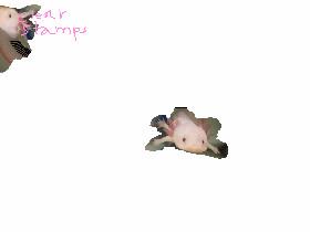 axolotl Spin Draw