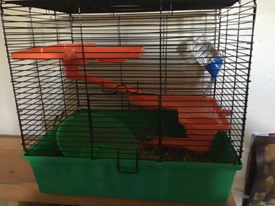 this is my hamster cage.